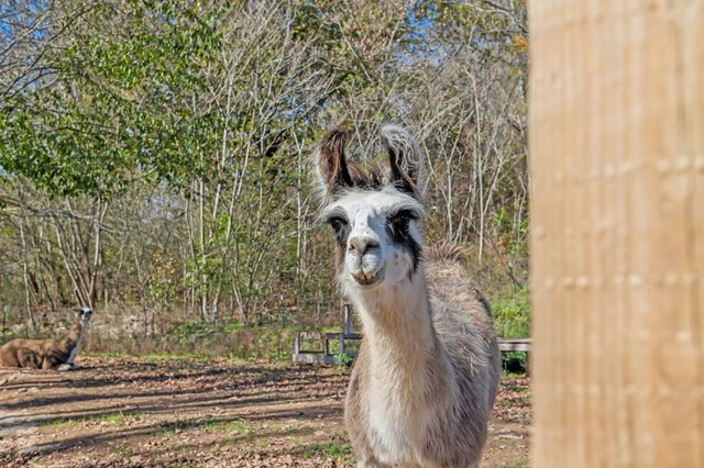 1277 Campbellsville Pike, Lynnville, TN 38472