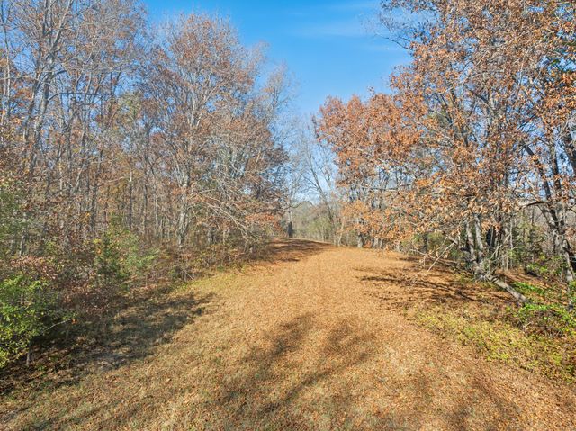 1277 Campbellsville Pike, Lynnville, TN 38472