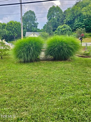 6483 Cleveland Road, Cleveland, VA 24225