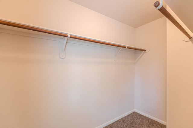 21611 Falvel Misty Drive, Spring, TX 77388