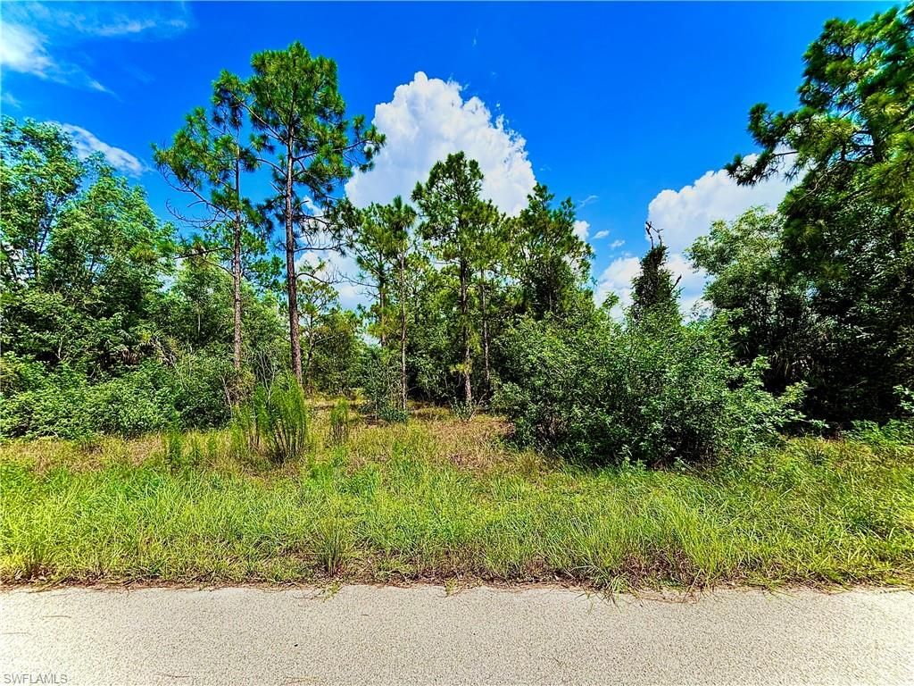 351 Mangonia AVE, LEHIGH ACRES, FL 33974 — exterior