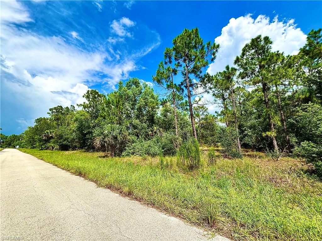 351 Mangonia AVE, LEHIGH ACRES, FL 33974 — photo 2