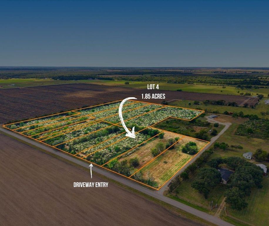 Lot 4 Cow Creek Road, Damon, TX 77430