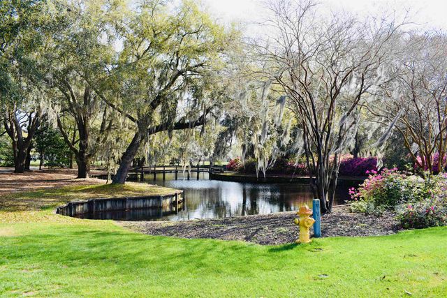 280 Oatland Lake Rd., Pawleys Island, SC 29585