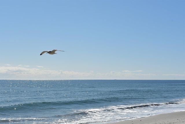 280 Oatland Lake Rd., Pawleys Island, SC 29585