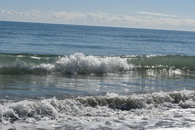 280 Oatland Lake Rd., Pawleys Island, SC 29585