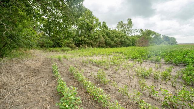 108 CR 240A, Cameron, TX 76520