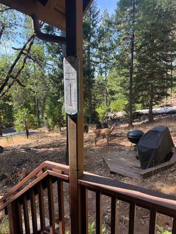 26661 Cedar Ave, Pioneer, CA 95666