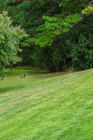156 Pine View Lane, Copperhill, TN 37317
