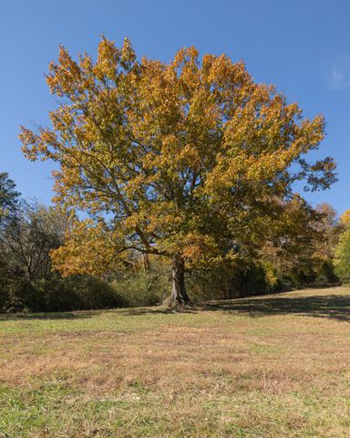 3 Tallent Road, Pulaski, TN 38478