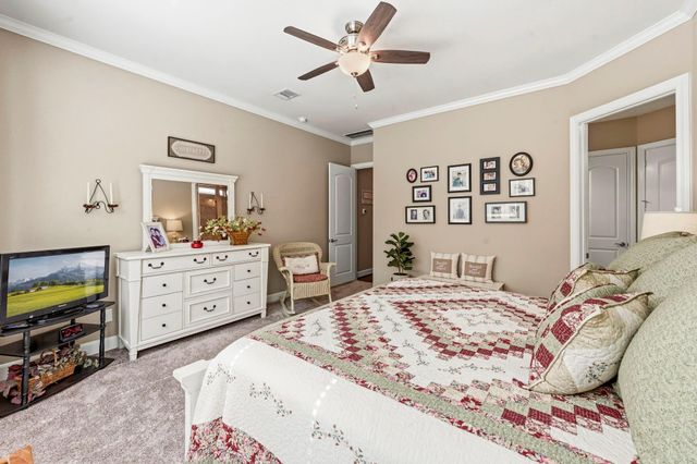 217 Percheron Drive, The Woodlands, TX 77382