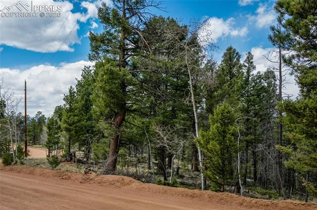 451 Chipeta Creek Trail, Florissant, CO 80816