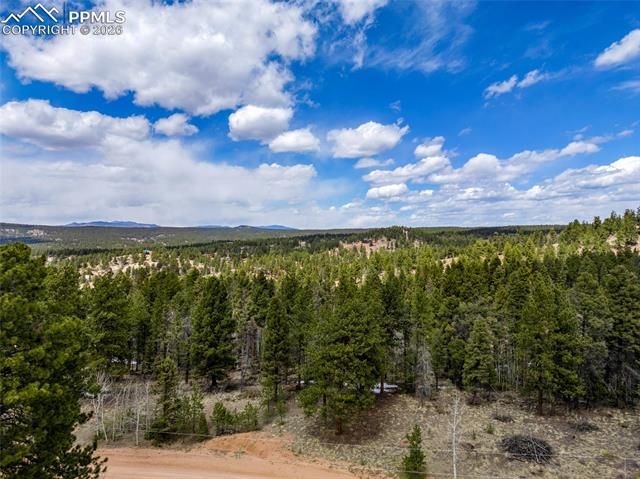 451 Chipeta Creek Trail, Florissant, CO 80816