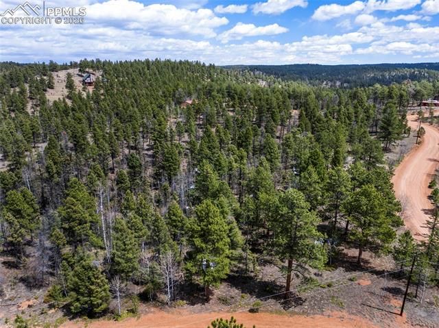 451 Chipeta Creek Trail, Florissant, CO 80816