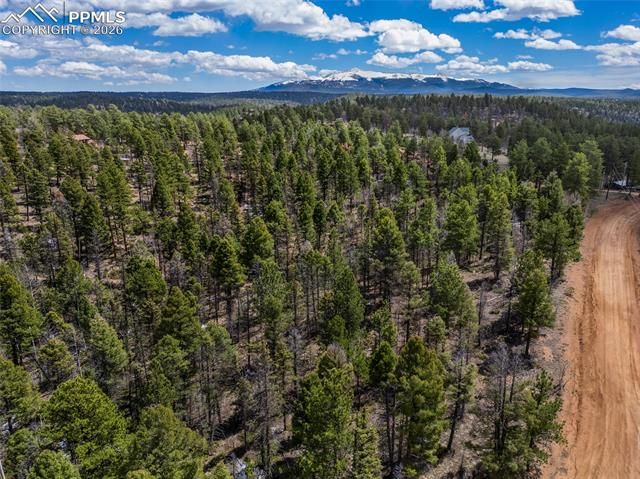 451 Chipeta Creek Trail, Florissant, CO 80816