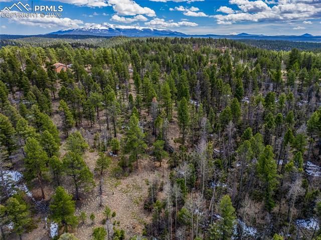 451 Chipeta Creek Trail, Florissant, CO 80816