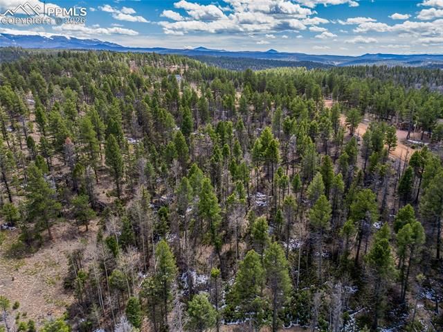 451 Chipeta Creek Trail, Florissant, CO 80816