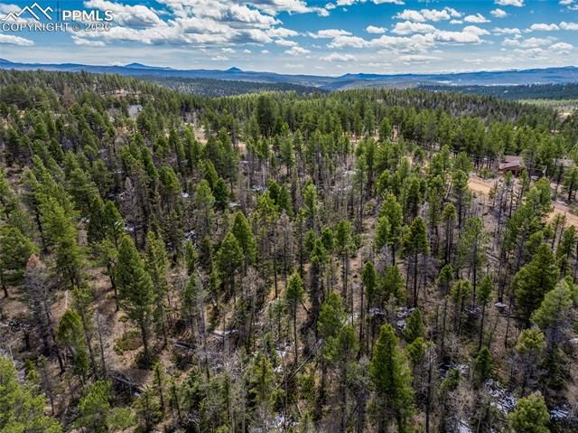 451 Chipeta Creek Trail, Florissant, CO 80816