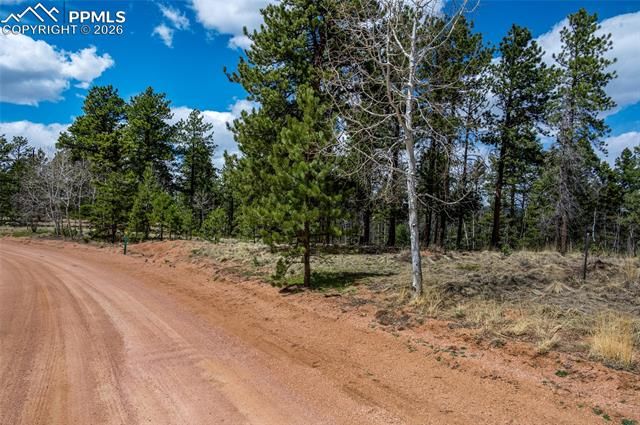 451 Chipeta Creek Trail, Florissant, CO 80816