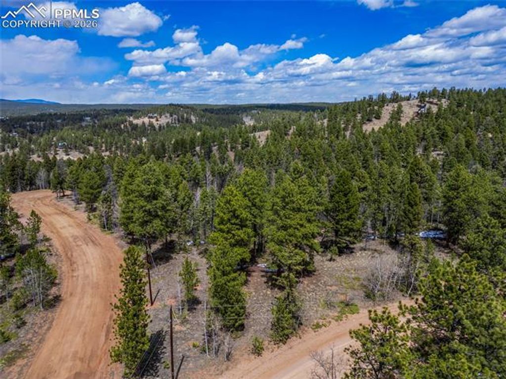 451 Chipeta Creek Trail, Florissant, CO 80816 — photo 3