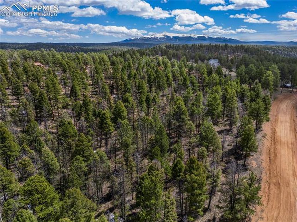 451 Chipeta Creek Trail, Florissant, CO 80816 — photo 5
