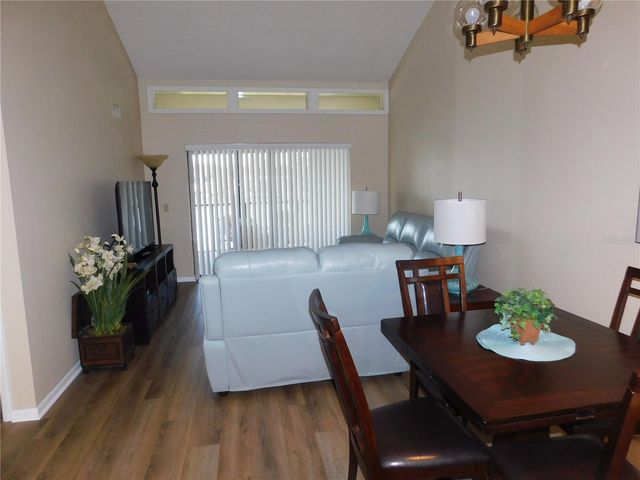 250 WOODLAKE WYNDE 250, Oldsmar, FL 34677