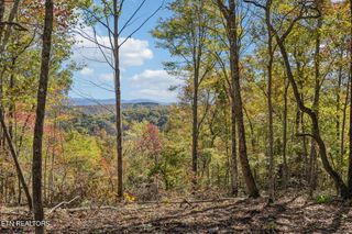 Sheep Ranch Rd, Robbins, TN 37852