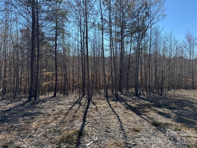 11490 King James Boulevard 2, Davidson, NC 28036