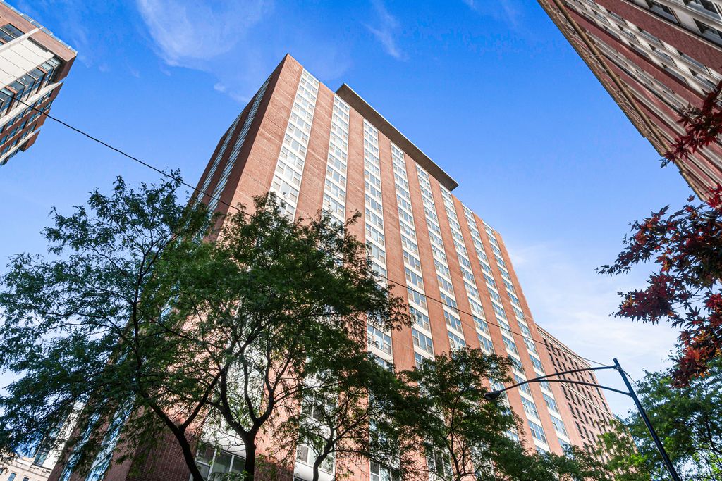 1325 N State Parkway 6D, Chicago, IL 60610