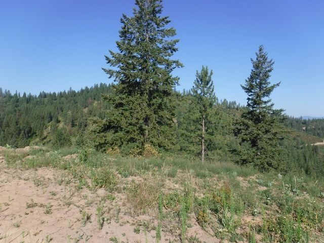 Lot 5 Moose Ridge Way, Loon Lake, WA 99148