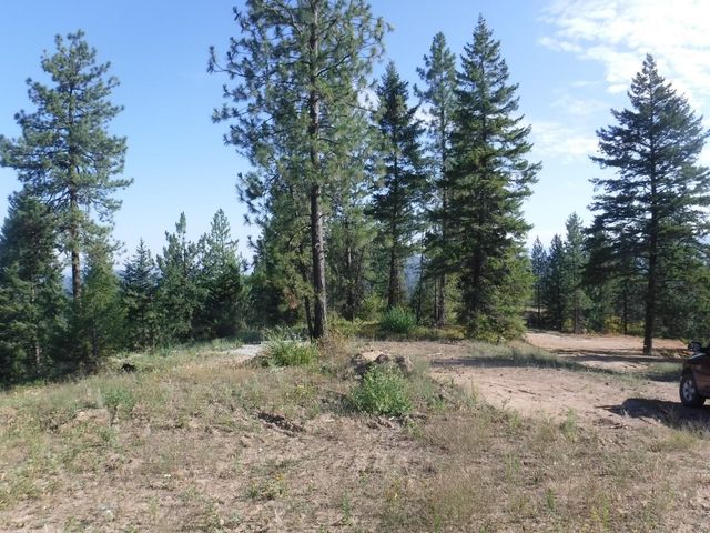 Lot 5 Moose Ridge Way, Loon Lake, WA 99148