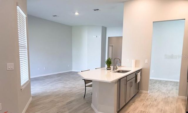 1980 GOBLET COVE STREET, Kissimmee, FL 34746