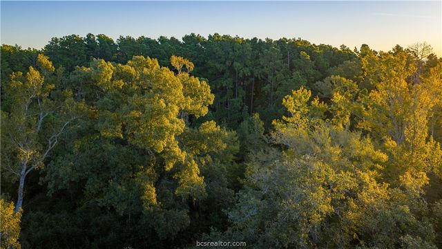 15383 CR 236, Oakwood, TX 75855