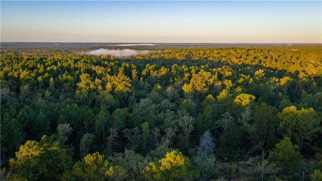 15383 CR 236, Oakwood, TX 75855