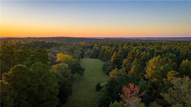 15383 CR 236, Oakwood, TX 75855