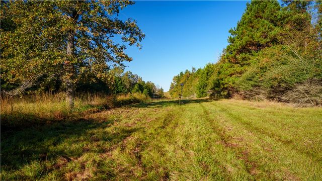 15383 CR 236, Oakwood, TX 75855