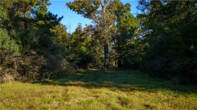 15383 CR 236, Oakwood, TX 75855