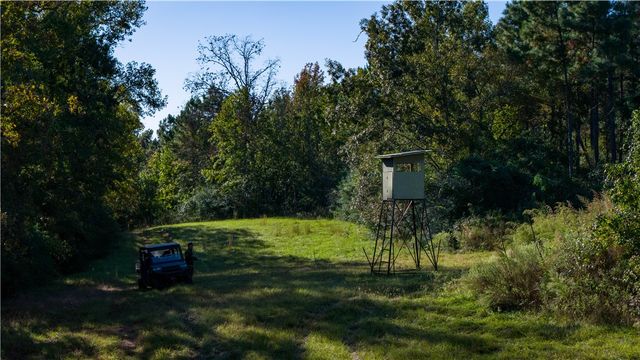 15383 CR 236, Oakwood, TX 75855