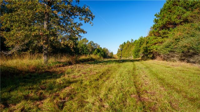 15383 CR 236, Oakwood, TX 75855