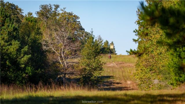15383 CR 236, Oakwood, TX 75855