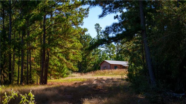 15383 CR 236, Oakwood, TX 75855