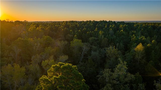 15383 CR 236, Oakwood, TX 75855