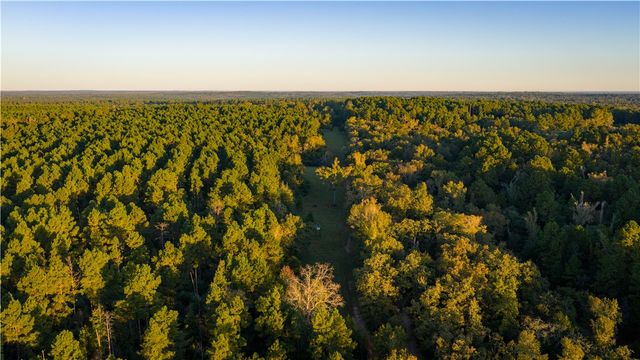 15383 CR 236, Oakwood, TX 75855