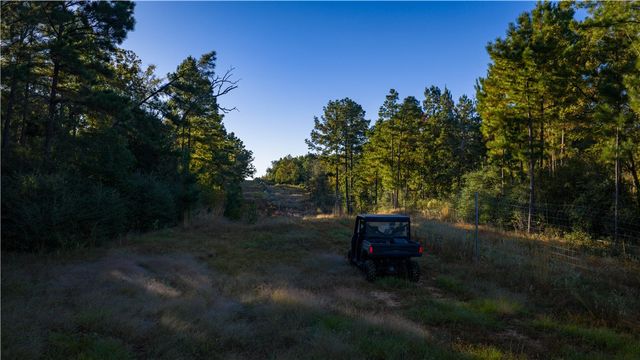 15383 CR 236, Oakwood, TX 75855