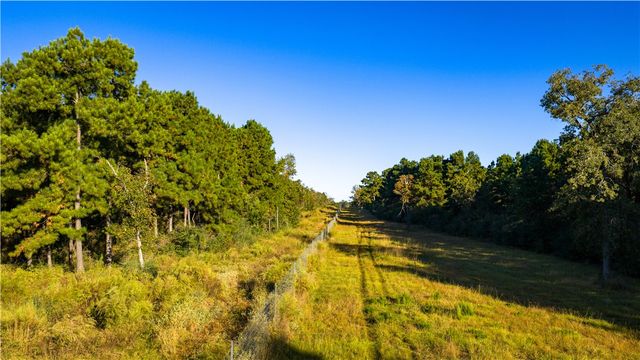 15383 CR 236, Oakwood, TX 75855