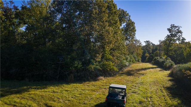15383 CR 236, Oakwood, TX 75855