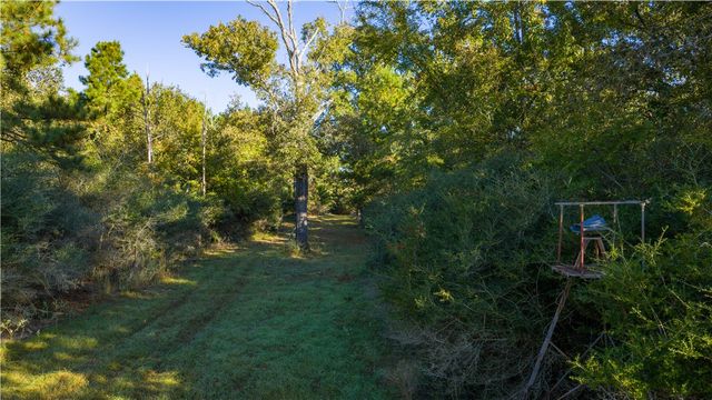 15383 CR 236, Oakwood, TX 75855