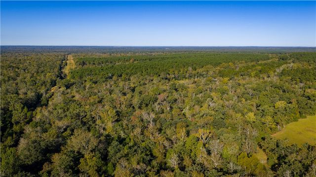 15383 CR 236, Oakwood, TX 75855