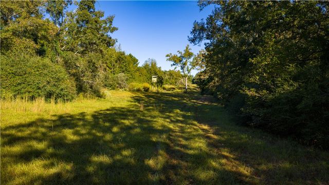 15383 CR 236, Oakwood, TX 75855