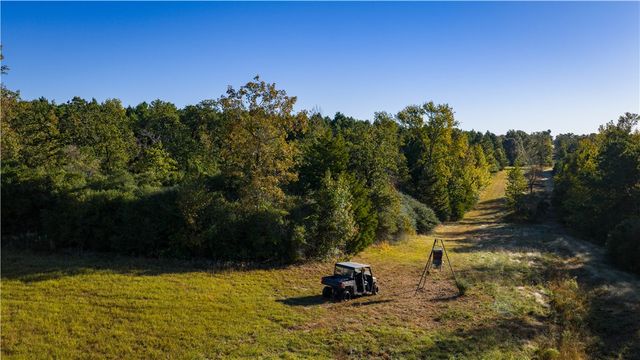 15383 CR 236, Oakwood, TX 75855
